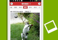 首页精选娱乐,盘点热门话题,畅享精彩瞬间