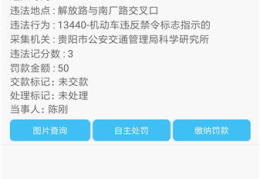 贵州省车辆违章查询,多渠道便捷服务,保障交通安全”